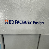 BD FACSAria Fusion Cell Sorter image 2